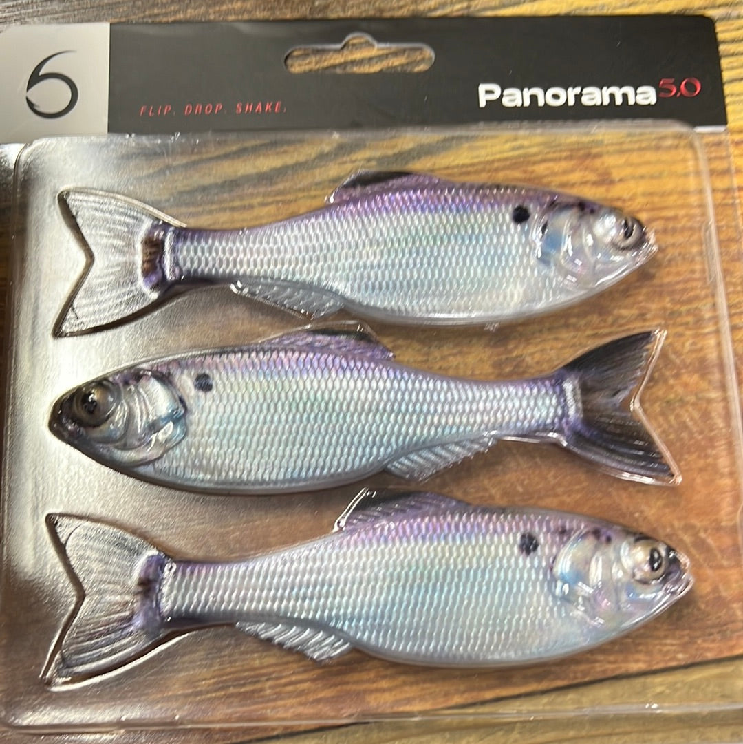 6th Sense Panorama 5.0 Live Gizzard Shad